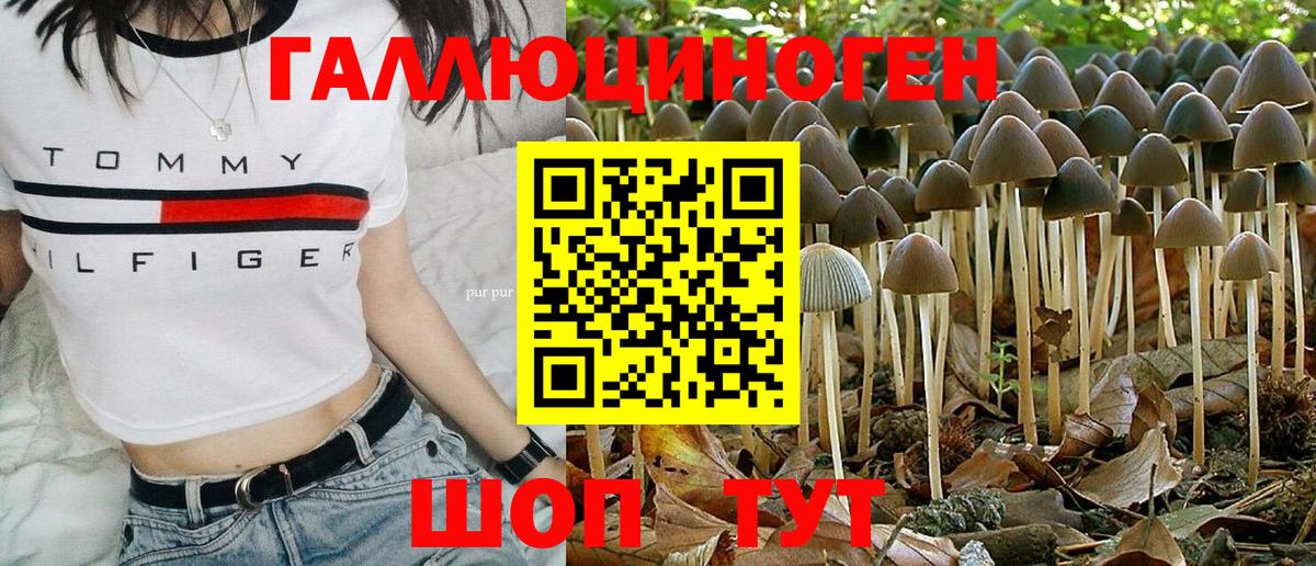 Москва  Галлюциногенные грибы мицелий  Вход с VPN 