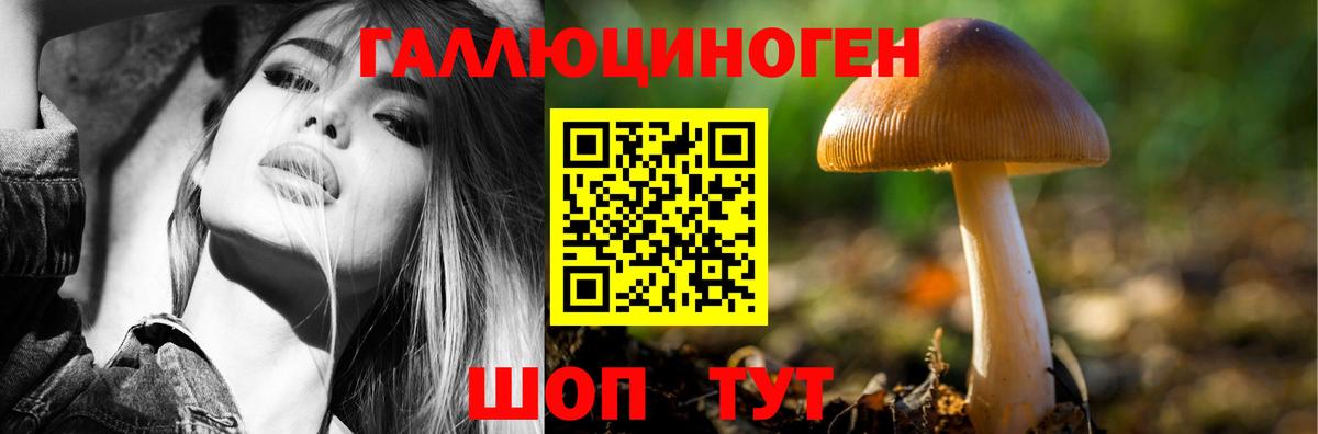 Псилоцибиновые грибы мицелий Москва